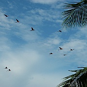 Picture 078